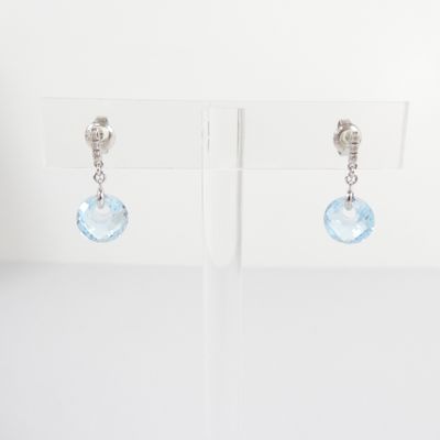 pair of blue crystal earrings on a clear display stand