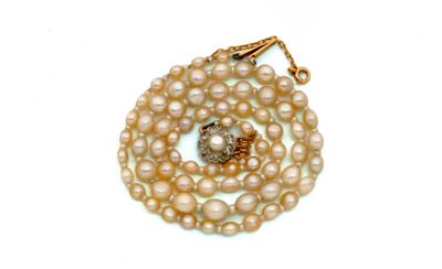 collier de perles avec un fermoir en or sur fond blanc
