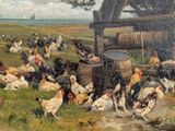 many chickens that are standing in the grass by a water well