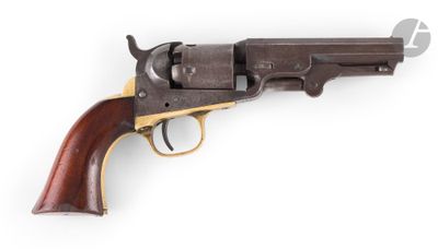 a colt colt colt colt colt colt colt colt colt colt colt colt colt colt colt colt colt colt colt colt colt colt colt colt colt colt colt colt colt colt colt colt colt colt colt
