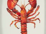 a painting of a lobster on a white background