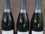 trois bouteilles de champagne posées les unes à côté des autres sur une table