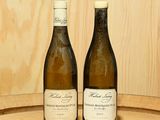 deux bouteilles de vin posées sur un tonneau