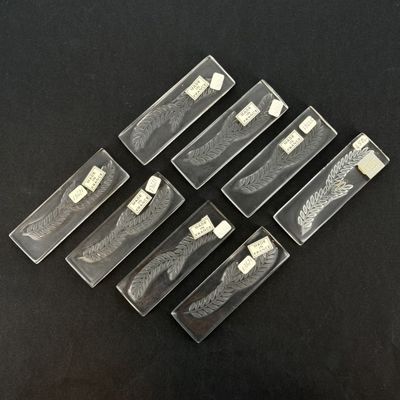 six morceaux de verre ornés d'un motif en noir et blanc
