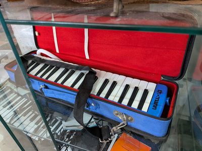 de nombreux instruments de musique exposés dans une vitrine