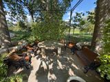 many benches that are sitting in the shade of the trees
