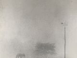 photographie en noir et blanc de deux chevaux paissant dans un champ brumeux