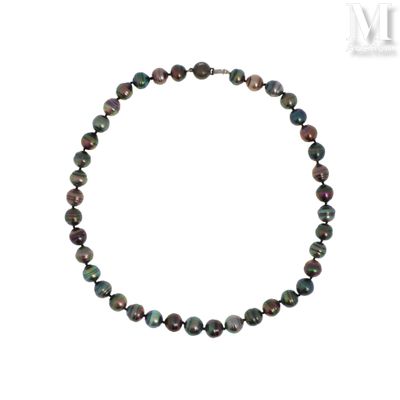 gros plan d'un collier sur fond blanc