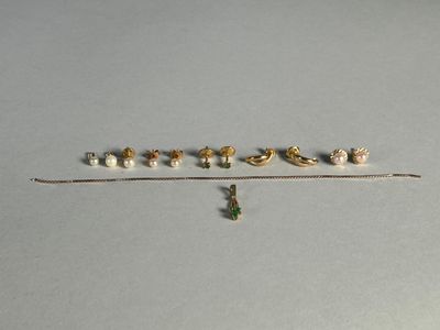 un petit groupe d'oiseaux perchés sur une branche