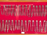 many different types of hair clips in a display case