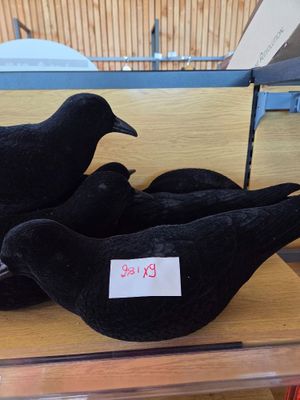 several black birds sitting on top of each other on a wooden table
