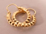 an image of a pair of gold earrings on a white surface
