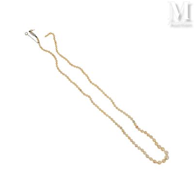 gros plan d'un collier sur fond blanc