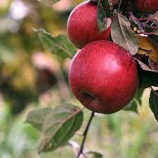 Destockage & Invendus