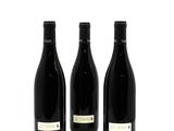 three bottles of wine are sitting next to each other on a white surface