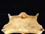 an antique brass plate with a snail on top of it