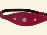 a close up of a red leather dog collar with brass studs