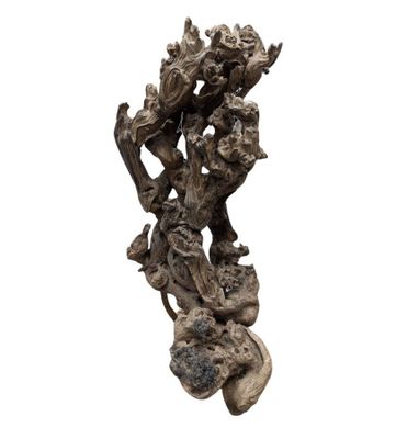 Sculpture végétale d'inspiration taoïste constituée d'une ra…