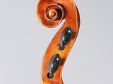 a close up of the back of a violin with a fiddle in the foreground