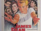 l'affiche du film « L'histoire de James Dean »