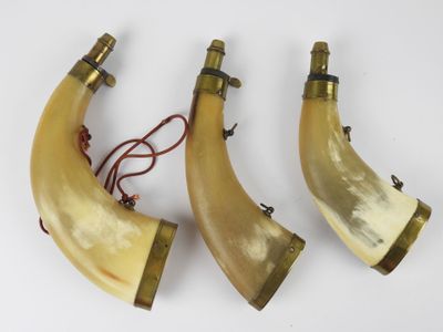 pair of horn lamps with brass fittings and cord