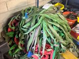un tas de légumes posé sur une palette dans un garage