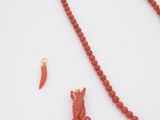 un gros plan d'un collier orné d'un chat et d'un piment