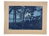 an image of a picture of a painting of trees on a white background
