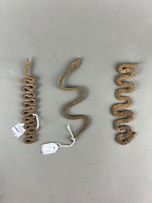 Trois espèces différentes de serpents sont présentées sur une table
