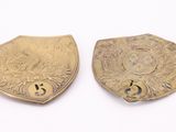two antique brass plated buttons with a lion on them