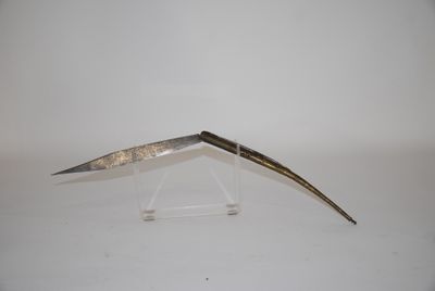a small metal object with a long blade on it