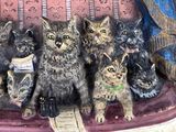 a statue of a group of cats sitting on a couch