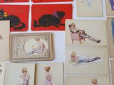 a lot of cards that have pictures of cats on them
