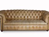 brown leather chesterfield sofa on white background with clipping for text