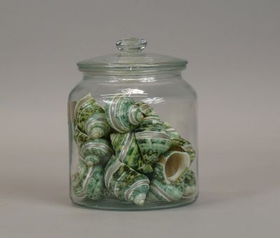 a glass jar filled with sea shells on a white surface
