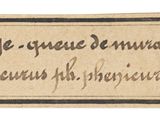 a close up of a piece of paper with writing on it