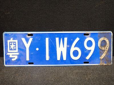 une plaque d'immatriculation bleue sur laquelle est inscrit « w9w1 »