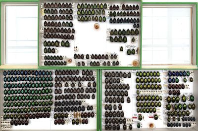 a lot of bottles of wine on the wall