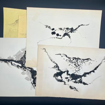 trois dessins à l'encre en noir et blanc représentant des oiseaux sur une feuille de papier