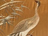 a bird that is standing in the grass by a tree
