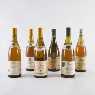 plusieurs bouteilles de vin sont alignées sur une surface blanche