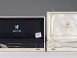 pair of silverware in a case with a spoon and spoon rest in it