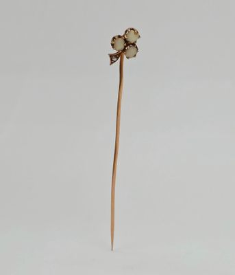 une petite fleur qui pousse sur une tige dans la neige