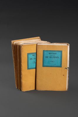 d'après BUFFON Ensemble de trente-deux chemises de livraison…