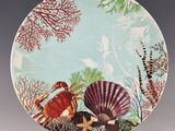 an image of a decorative plate with shells and corals