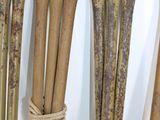 several old wooden skis are tied up to a white wall