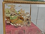 a glass box with a plant inside of it on a table