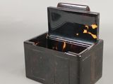 a black box with a tortoise shell inside of it