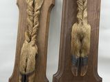 two pieces of wood with a rope hanging from the back of them