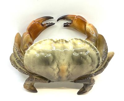 un crabe posé sur une surface blanche